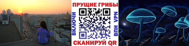 Купить  Приморск  Галлюциногенные грибы Magic Shrooms 